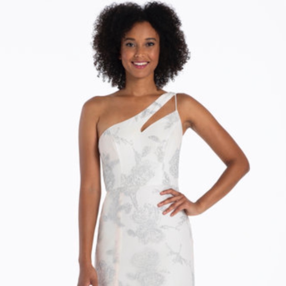 NWT Hayley Paige Occasions Bridesmaid Dress #52116, Blush/Ivory Caviar, size 12